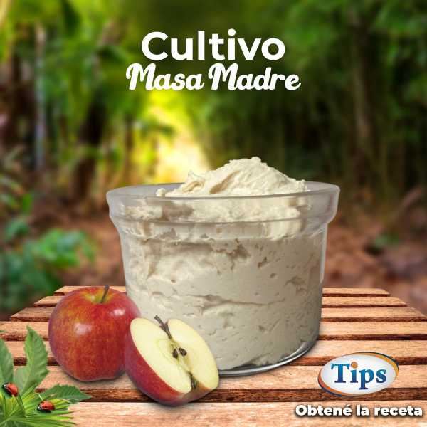 Cultivo Masa Madre