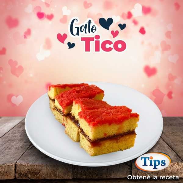 Gato Tico