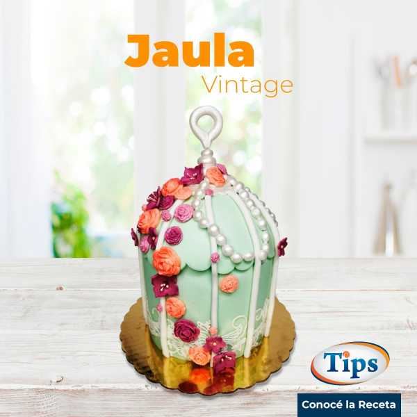 Jaula Vintage