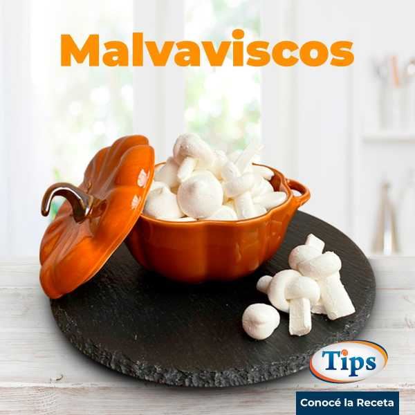 Malvaviscos