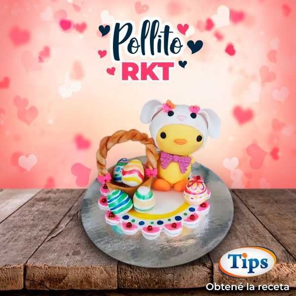Pollito RKT