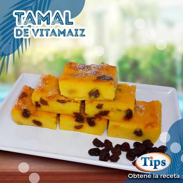 Tamal de Vitamaíz