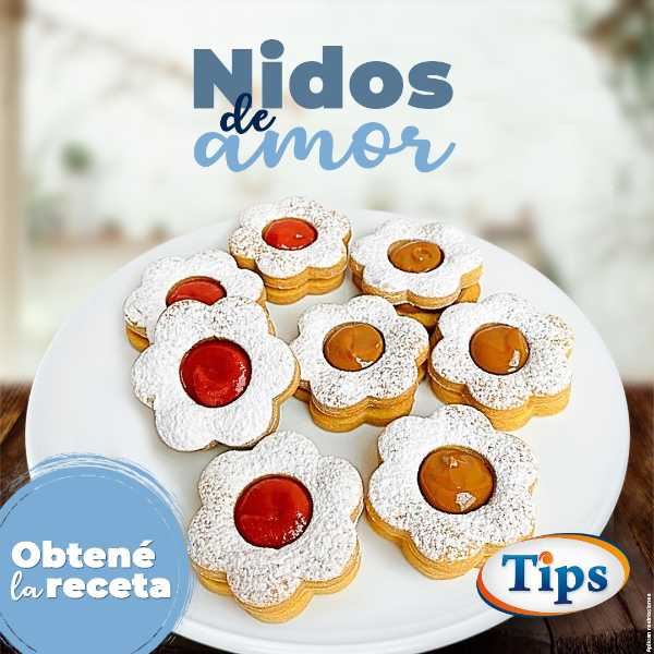 Nidos de Amor