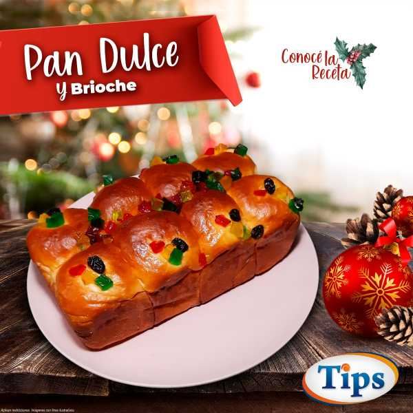 Pan Dulce Brioche