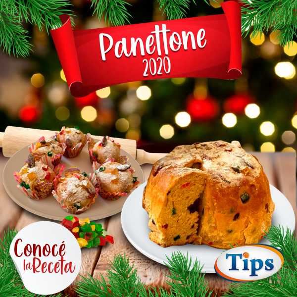 Pan Panettone