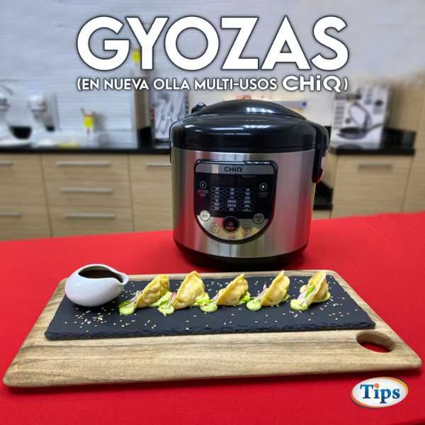 Gyozas de Cerdo