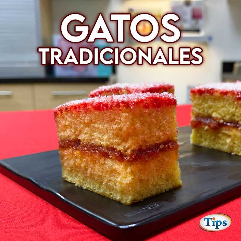 Gatos Tradicionales